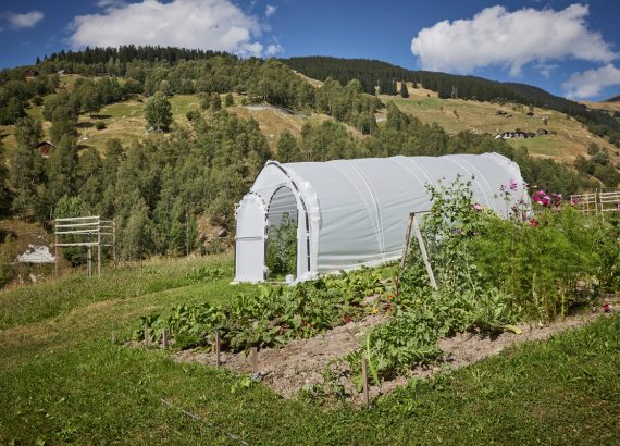 medelina Garten «iert la mola»
